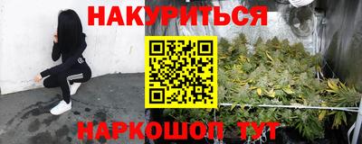 spice Кандалакша