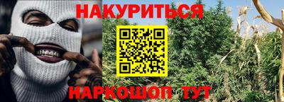 spice Кандалакша