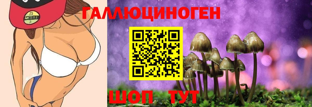 Галлюциногенные грибы прущие грибы Черняховск